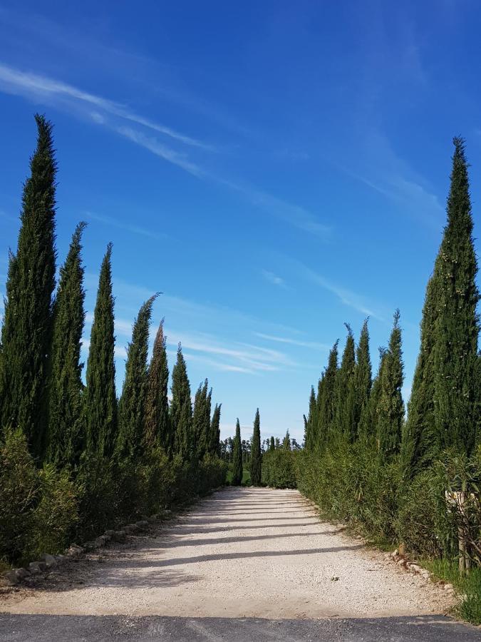 Le Mas De Paulette Mezoargues Luaran gambar